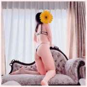 ヒメ日記 2024/12/29 22:45 投稿 おとは 厚木人妻城