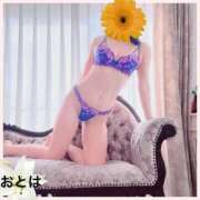 ヒメ日記 2025/01/23 10:33 投稿 おとは 厚木人妻城