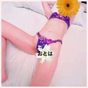 ヒメ日記 2025/03/26 23:33 投稿 おとは 厚木人妻城