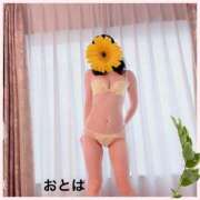 ヒメ日記 2025/03/29 10:48 投稿 おとは 厚木人妻城