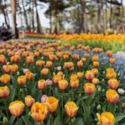 ヒメ日記 2026/01/11 18:42 投稿 ももか 桃色クリスタル