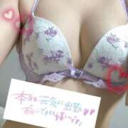 りいな おそよー☀️ 綺麗なお姉様専門　新横浜リング4C（アンジェリークグループ）