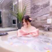 ヒメ日記 2025/02/06 11:08 投稿 しゅう 京都BOOK MARK（ブックマーク）