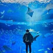 ヒメ日記 2025/02/06 16:48 投稿 しゅう 京都BOOK MARK（ブックマーク）