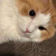 ヒメ日記 2025/06/25 11:29 投稿 まお Mrs Sirena（ミセスシレナ）