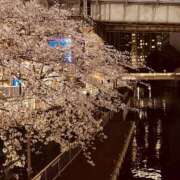 ヒメ日記 2026/04/18 18:37 投稿 つきの One More 奥様　五反田店