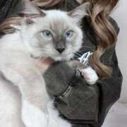 ヒメ日記 2025/04/12 21:32 投稿 りりか☆小柄激カワギャル☆ アネキャンモード