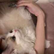 ヒメ日記 2025/05/15 22:03 投稿 りりか☆小柄激カワギャル☆ アネキャンモード