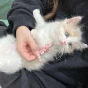 ヒメ日記 2025/08/11 02:15 投稿 りりか☆小柄激カワギャル☆ アネキャンモード