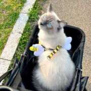 ヒメ日記 2025/08/11 23:55 投稿 りりか☆小柄激カワギャル☆ アネキャンモード