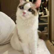 ヒメ日記 2025/08/15 18:53 投稿 りりか☆小柄激カワギャル☆ アネキャンモード