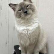 ヒメ日記 2025/09/14 21:32 投稿 りりか☆小柄激カワギャル☆ アネキャンモード