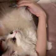 ヒメ日記 2026/01/25 19:06 投稿 りりか☆小柄激カワギャル☆ アネキャンモード