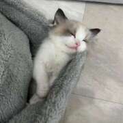 ヒメ日記 2026/02/24 10:02 投稿 りりか☆小柄激カワギャル☆ アネキャンモード