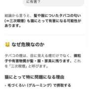 ヒメ日記 2026/04/02 11:44 投稿 りりか☆小柄激カワギャル☆ アネキャンモード