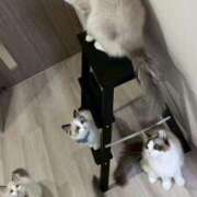 ヒメ日記 2026/04/05 19:41 投稿 りりか☆小柄激カワギャル☆ アネキャンモード