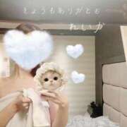 ヒメ日記 2025/03/09 21:52 投稿 みれい☆才色兼備美女☆ アネキャンモード