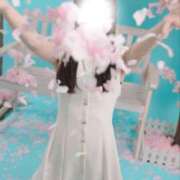 ヒメ日記 2025/04/06 22:16 投稿 みれい☆才色兼備美女☆ アネキャンモード