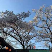 ヒメ日記 2026/04/04 12:31 投稿 りな☆ブレイク確実☆ アネキャンモード