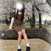 ヒメ日記 2026/05/18 08:00 投稿 えみり☆究極のエロ清楚美女☆ アネキャンモード