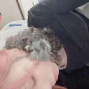 ヒメ日記 2025/01/25 21:07 投稿 あの☆超カワ天然某芸能人！？☆ アネキャンモード