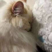 ヒメ日記 2025/04/13 23:30 投稿 あの☆超カワ天然某芸能人！？☆ アネキャンモード