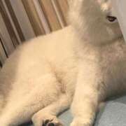 ヒメ日記 2025/05/23 16:01 投稿 あの☆超カワ天然某芸能人！？☆ アネキャンモード