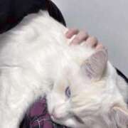 ヒメ日記 2025/05/31 21:09 投稿 あの☆超カワ天然某芸能人！？☆ アネキャンモード