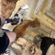 ヒメ日記 2025/07/25 21:45 投稿 あの☆超カワ天然某芸能人！？☆ アネキャンモード