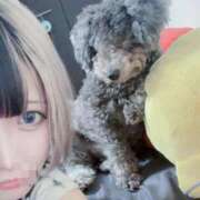 ヒメ日記 2025/08/06 20:02 投稿 あの☆超カワ天然某芸能人！？☆ アネキャンモード