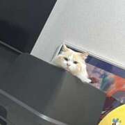 ヒメ日記 2025/10/12 22:45 投稿 あの☆超カワ天然某芸能人！？☆ アネキャンモード