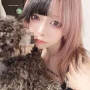 ヒメ日記 2025/10/25 20:16 投稿 あの☆超カワ天然某芸能人！？☆ アネキャンモード