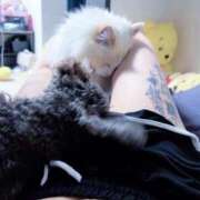 ヒメ日記 2025/11/29 21:52 投稿 あの☆超カワ天然某芸能人！？☆ アネキャンモード