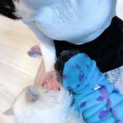 あの☆超カワ天然某芸能人！？☆ 🎀 アネキャンモード