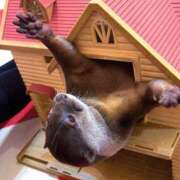 ヒメ日記 2025/12/15 21:16 投稿 あの☆超カワ天然某芸能人！？☆ アネキャンモード