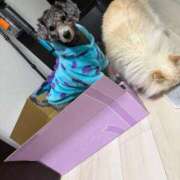 ヒメ日記 2026/01/11 16:07 投稿 あの☆超カワ天然某芸能人！？☆ アネキャンモード