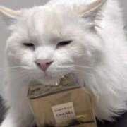 ヒメ日記 2026/01/13 22:00 投稿 あの☆超カワ天然某芸能人！？☆ アネキャンモード