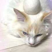 ヒメ日記 2026/01/27 22:00 投稿 あの☆超カワ天然某芸能人！？☆ アネキャンモード