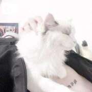 ヒメ日記 2026/01/31 18:30 投稿 あの☆超カワ天然某芸能人！？☆ アネキャンモード