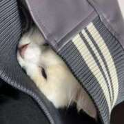 ヒメ日記 2026/02/11 08:30 投稿 あの☆超カワ天然某芸能人！？☆ アネキャンモード