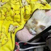 ヒメ日記 2026/02/15 02:30 投稿 あの☆超カワ天然某芸能人！？☆ アネキャンモード