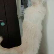 ヒメ日記 2026/02/22 01:16 投稿 あの☆超カワ天然某芸能人！？☆ アネキャンモード