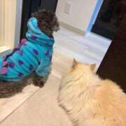 ヒメ日記 2026/02/24 12:08 投稿 あの☆超カワ天然某芸能人！？☆ アネキャンモード