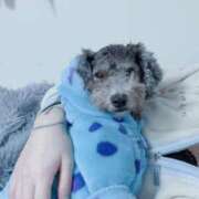 ヒメ日記 2026/02/28 17:02 投稿 あの☆超カワ天然某芸能人！？☆ アネキャンモード