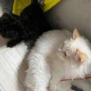 ヒメ日記 2026/03/19 17:46 投稿 あの☆超カワ天然某芸能人！？☆ アネキャンモード