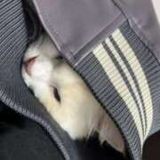 ヒメ日記 2026/03/20 22:21 投稿 あの☆超カワ天然某芸能人！？☆ アネキャンモード