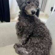 ヒメ日記 2026/03/27 19:47 投稿 あの☆超カワ天然某芸能人！？☆ アネキャンモード