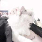 ヒメ日記 2026/04/06 17:23 投稿 あの☆超カワ天然某芸能人！？☆ アネキャンモード