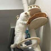 ヒメ日記 2026/04/28 19:24 投稿 あの☆超カワ天然某芸能人！？☆ アネキャンモード