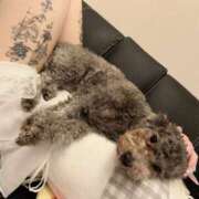 ヒメ日記 2026/07/25 16:51 投稿 あの☆超カワ天然某芸能人！？☆ アネキャンモード